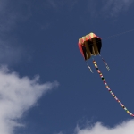 Bournemouth Kite Festival 2011 (8 of 13)