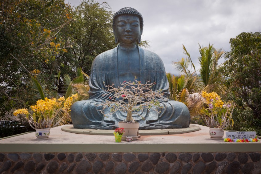 Maui Buddha